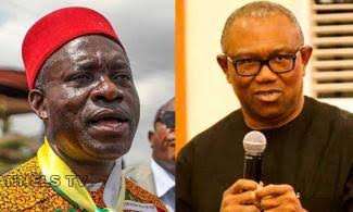 Peter Obi: Ohanaeze summons Soludo before Igbo deities.