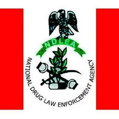 NDLEA Announces Harvest of Drug seizures, Arrests