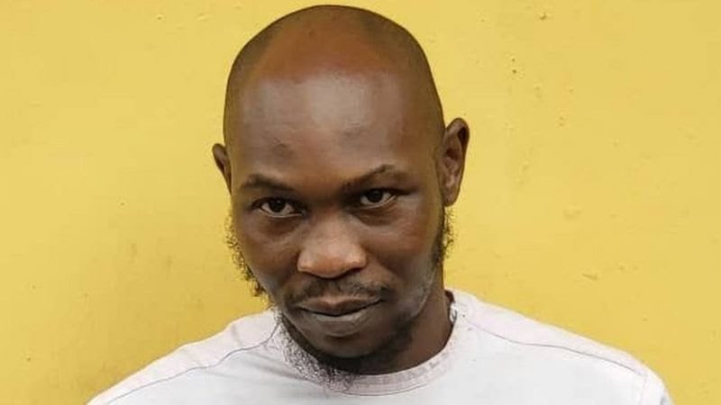 Seun Kuti released on bail.