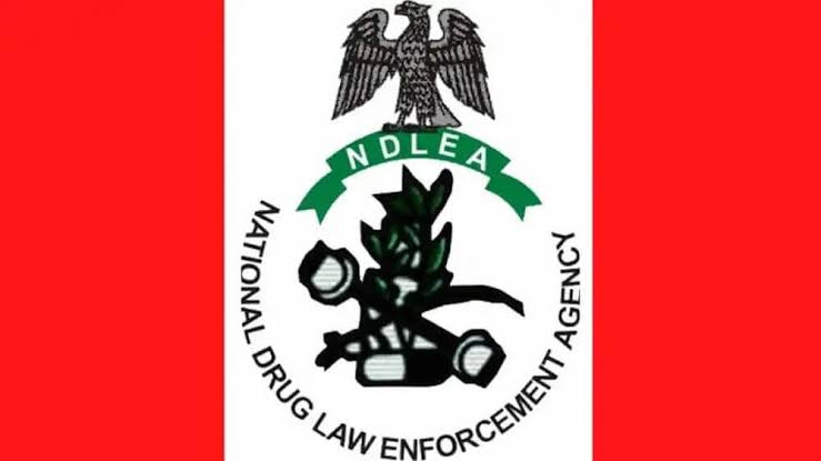 NDLEA Arrest  Two Qatar- based  Drug Lords.