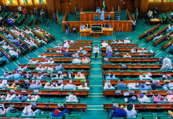 Breaking: House of Reps Rejects calls To suspend N617 petrol pump price.