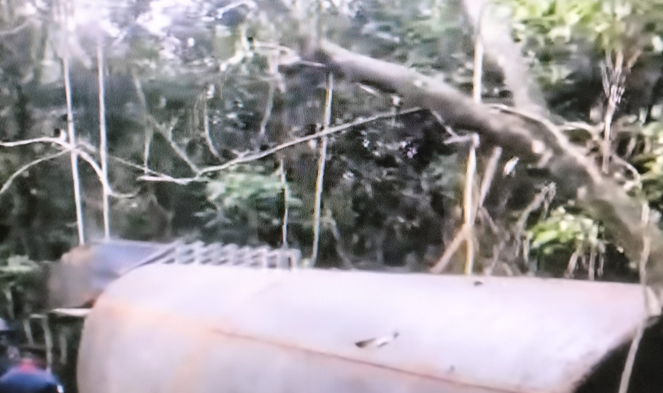 JUST IN: NSCDC Uncovers, Confisticates Illegal Refinery in Rivers Forest.