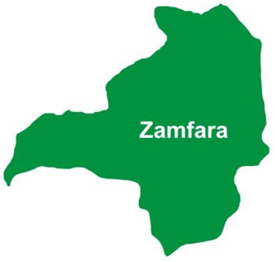Breaking:Troops Rescue Seven More Zamfara varsity students