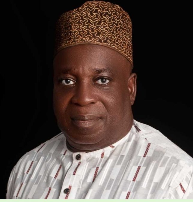 Why Tinubu’s Budget 2024 cannot deliver on promised ‘’Renewed Hope’’ (1).