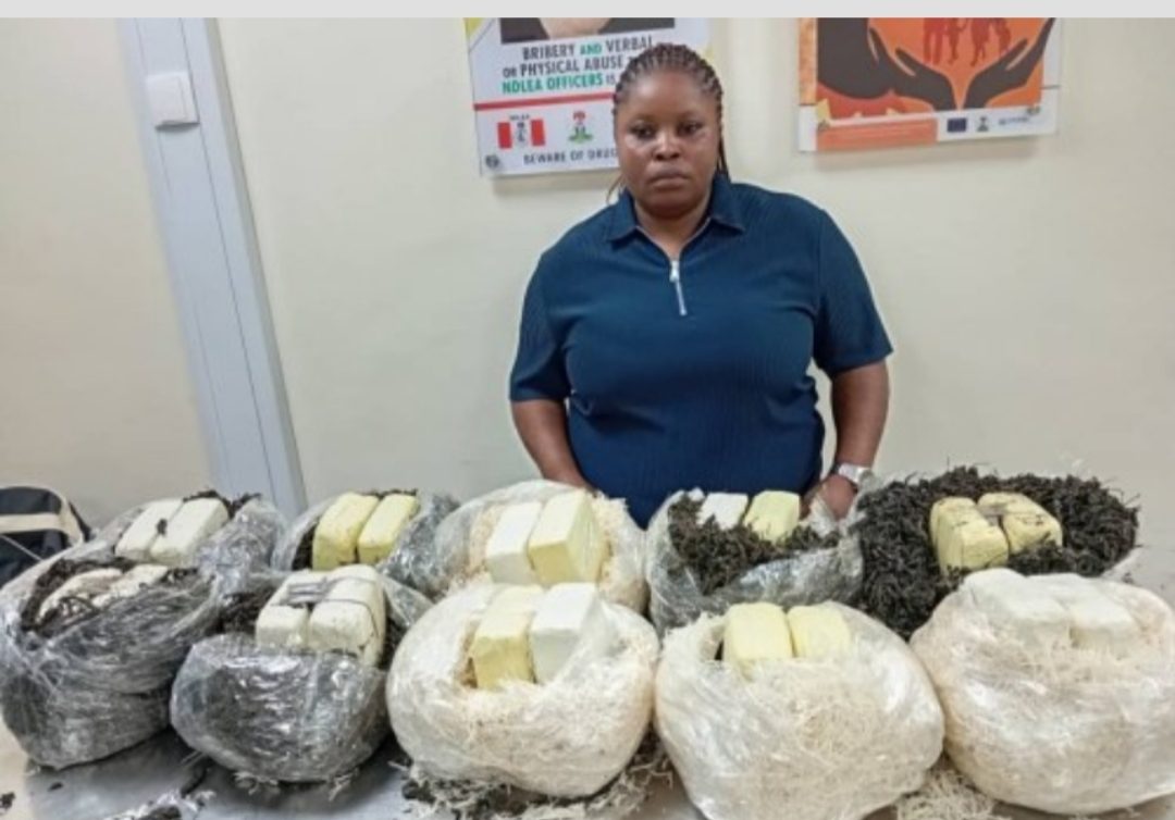 NDLEA Detains Woman For Attempting to Traffic Cannabis Concealed in ” Abacha” To Qatar