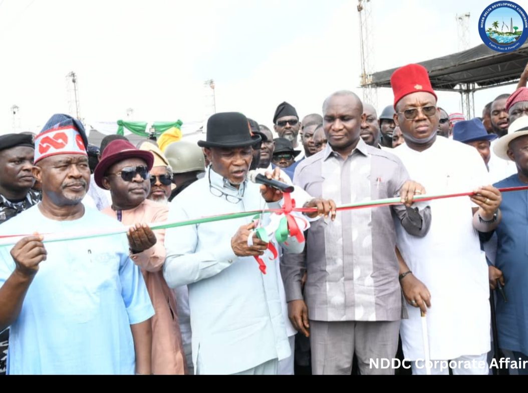 Minister Hails NDDC for Partnering with Rivers LG