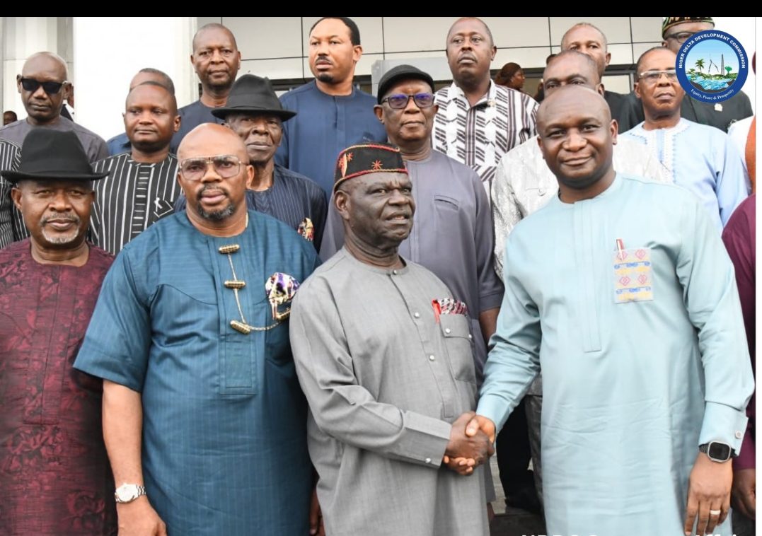 Niger Delta Leaders Laud NDDC for Rural Electrification, other Projects.