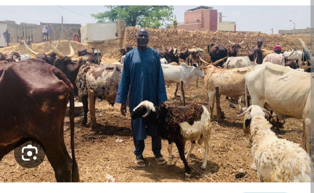 Eid-el-Kabir : FG Declares Monday, Tuesday Public Holidays.