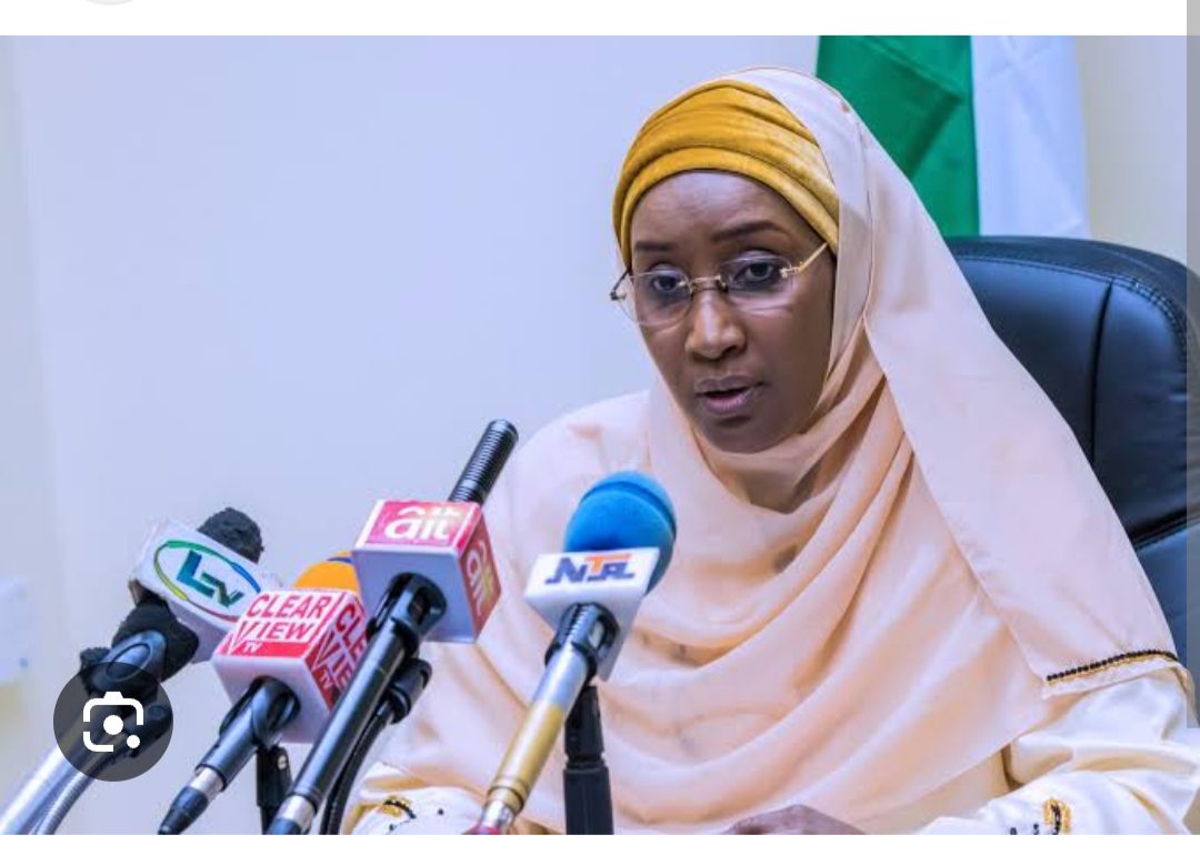 Court Orders Ex – Humanitarian  Affairs Minister To Account For N729 Billion Payment To Poor Nigerians.