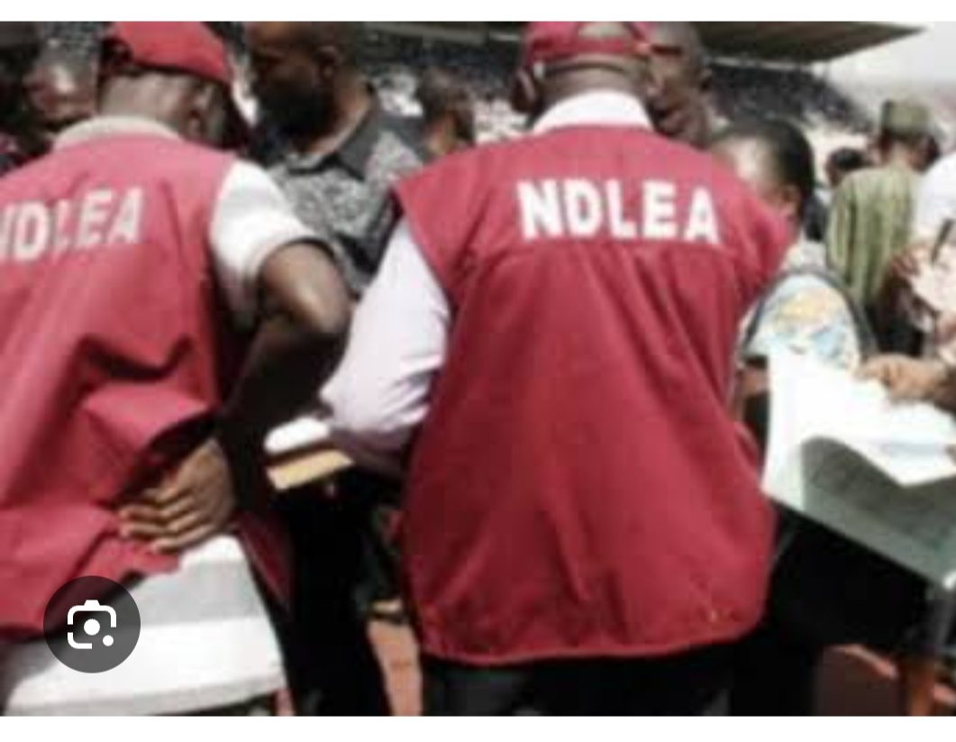 Drugs: NDLEA Makes Harvest Of Seizures,