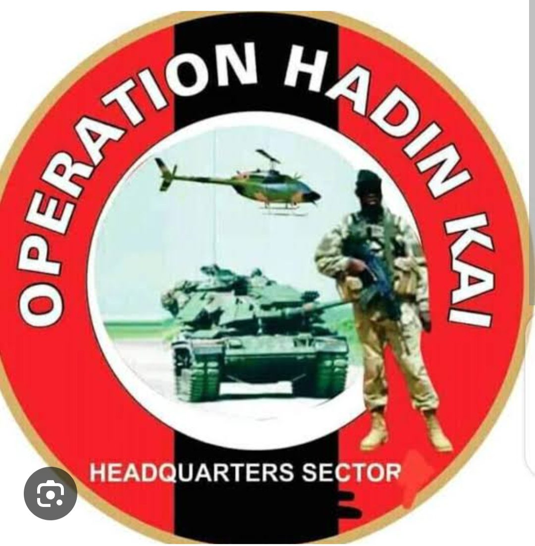 Joint Task Force Rescues Another Chibok Girl.