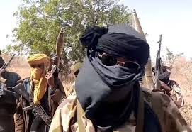 Wanted Boko Haram Commander, Others Killed in Army offensive in Borno.