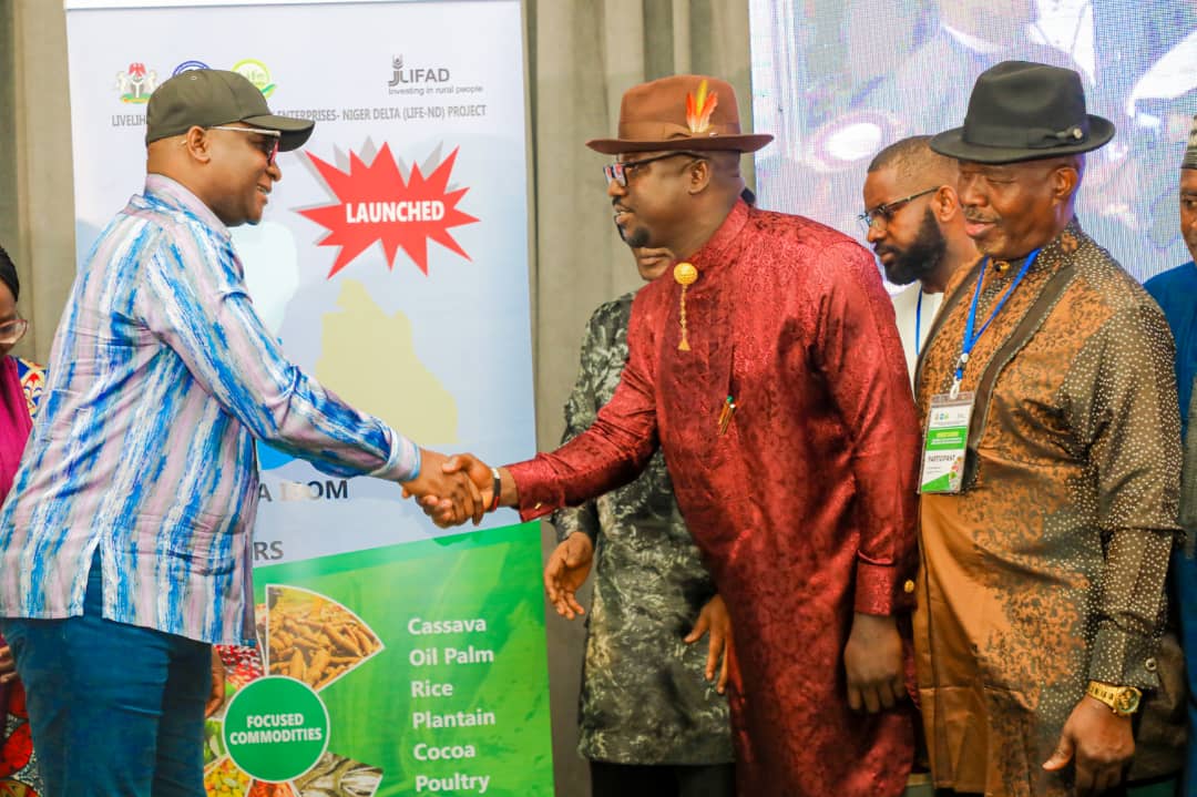 NDDC, HOST STATES’ SYNERGY’LL ENHANCE DEV IN N’DELTA – GOV FUBARA