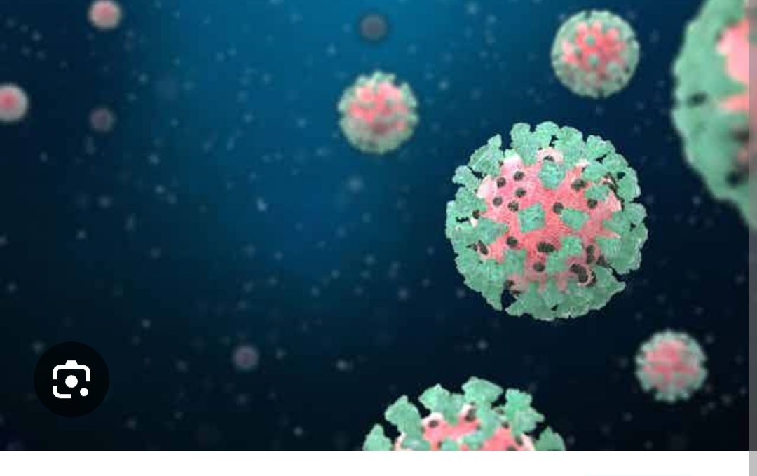 XEC COVID Variant Not In Nigeria – FG.