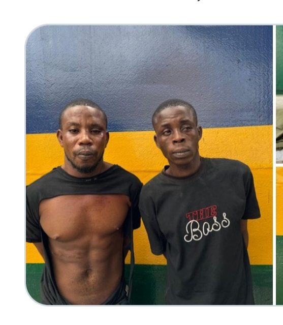 2 MORE SUSPECTS CONNECTED TO MRS ODUMOSU’S KIDNAP, ARRESTED -NPF.