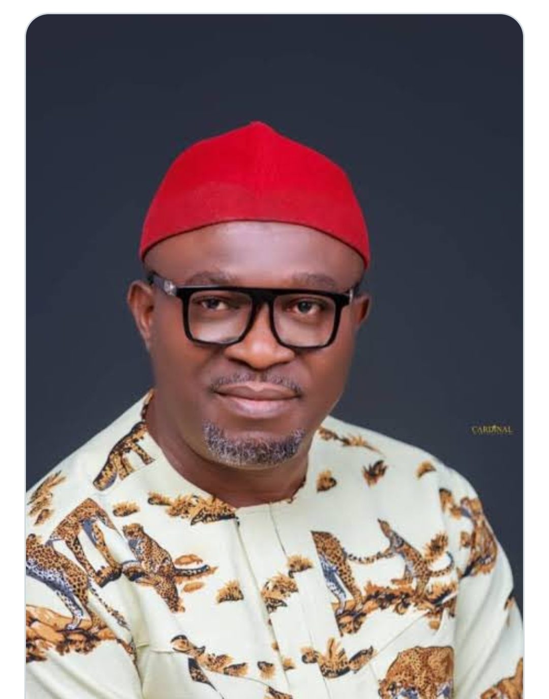 PDP NWC Honours Appeal Court’s Judgement, Recognises Udeh Okoye as Party National Secretary.