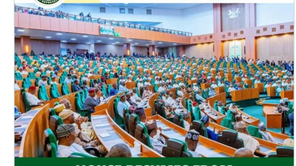 Reps move to strip Vice President, Governors, Deputies of immunity.
