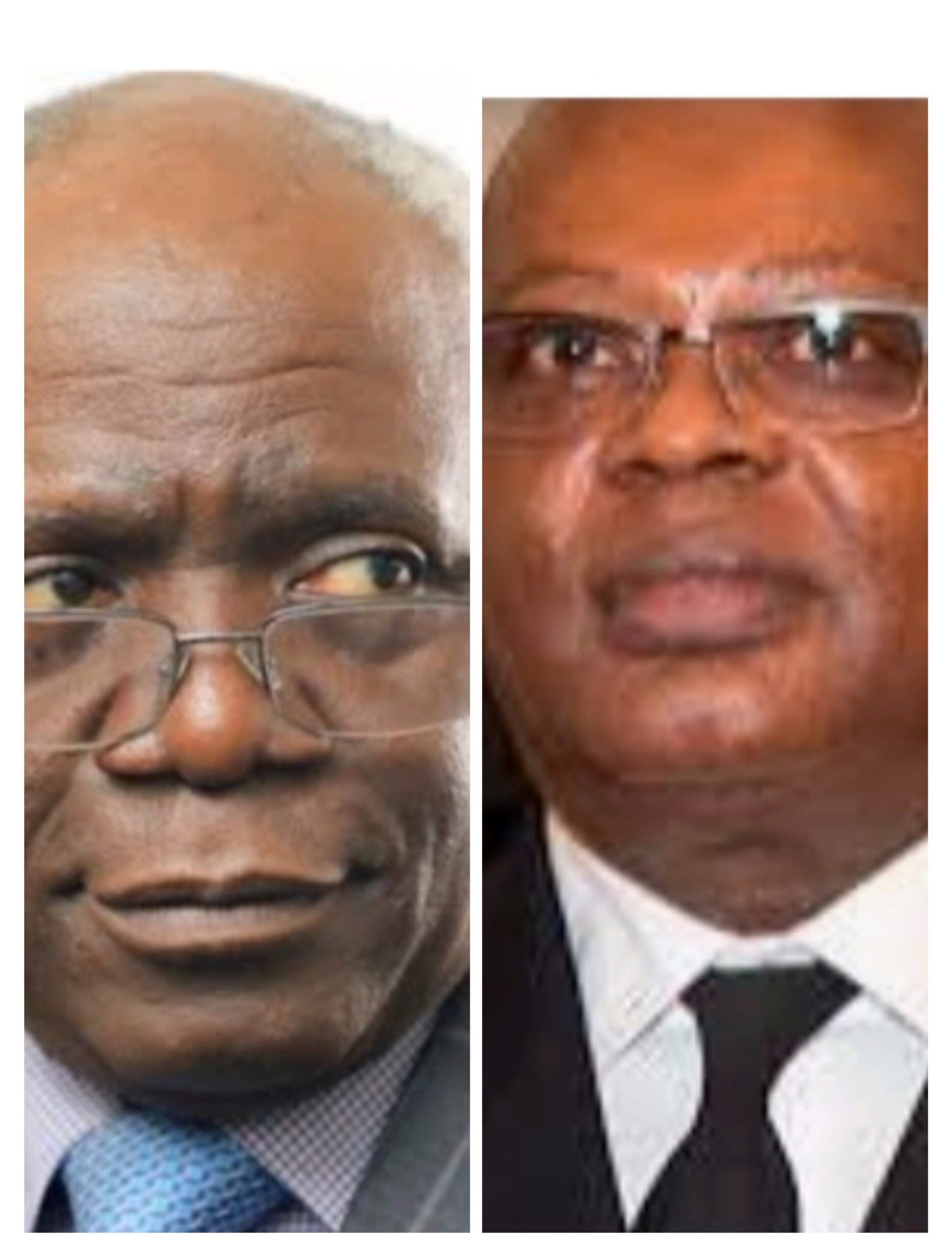 Remove Ibas From Office, Falana Urges Tinubu.