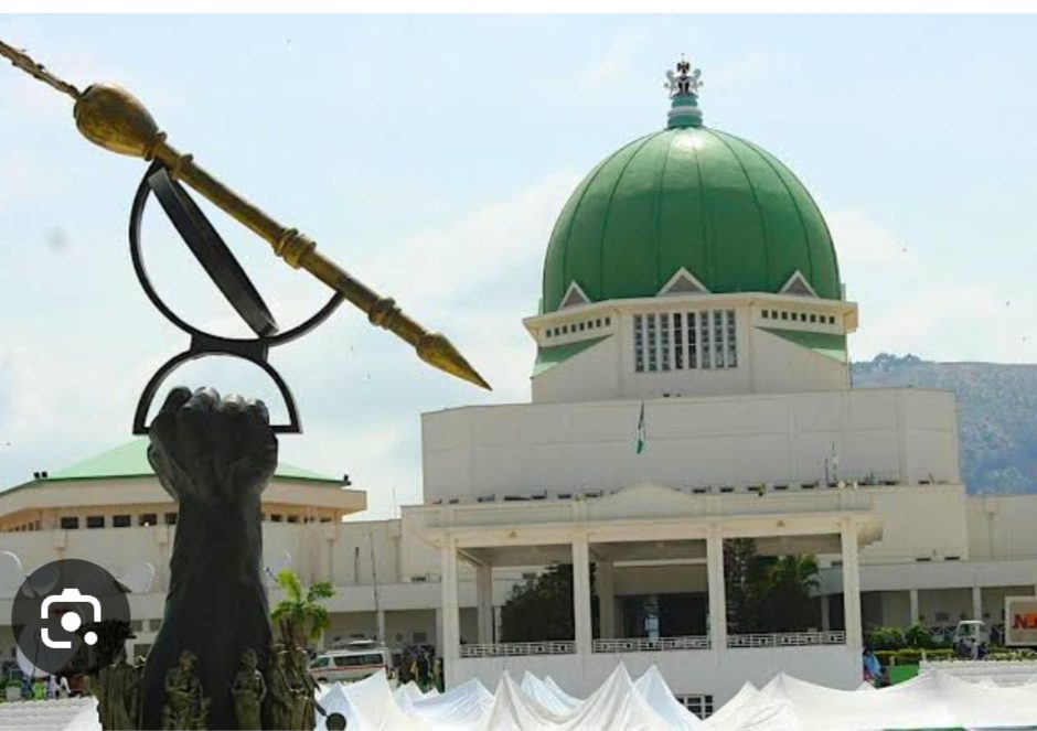 Falana To Reps: Compulsory Voting Bill Invalid,