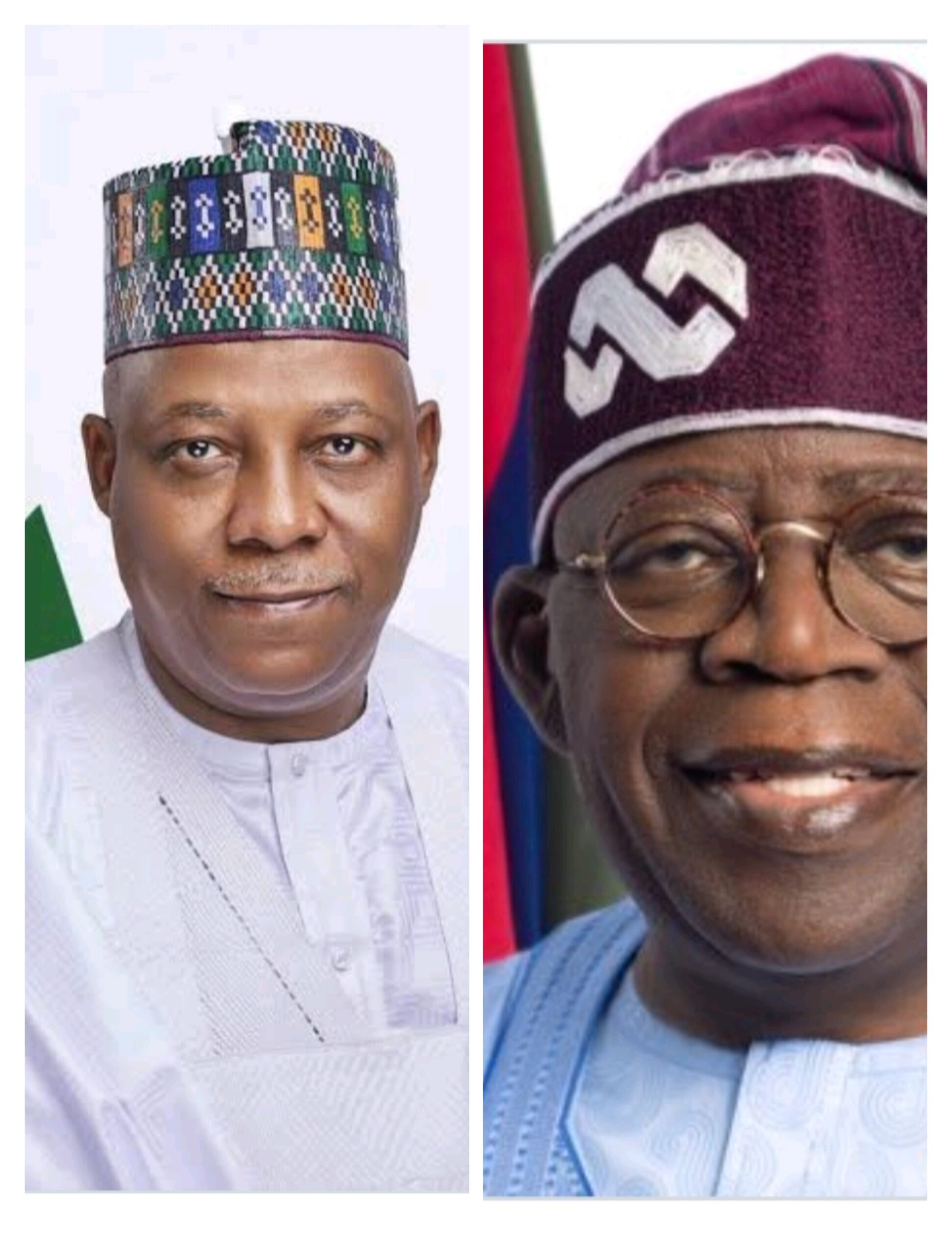 2027:Tinubu To Pick Running Mate After Party Convention – Presidency.