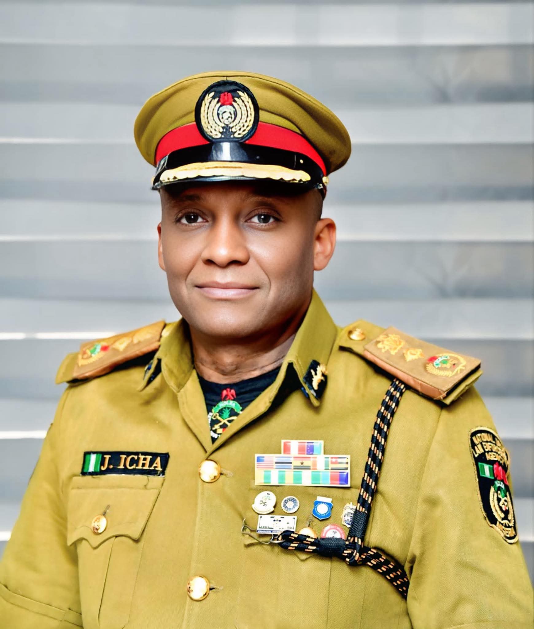 International Police Academy Appoints NDLEA Officer Director