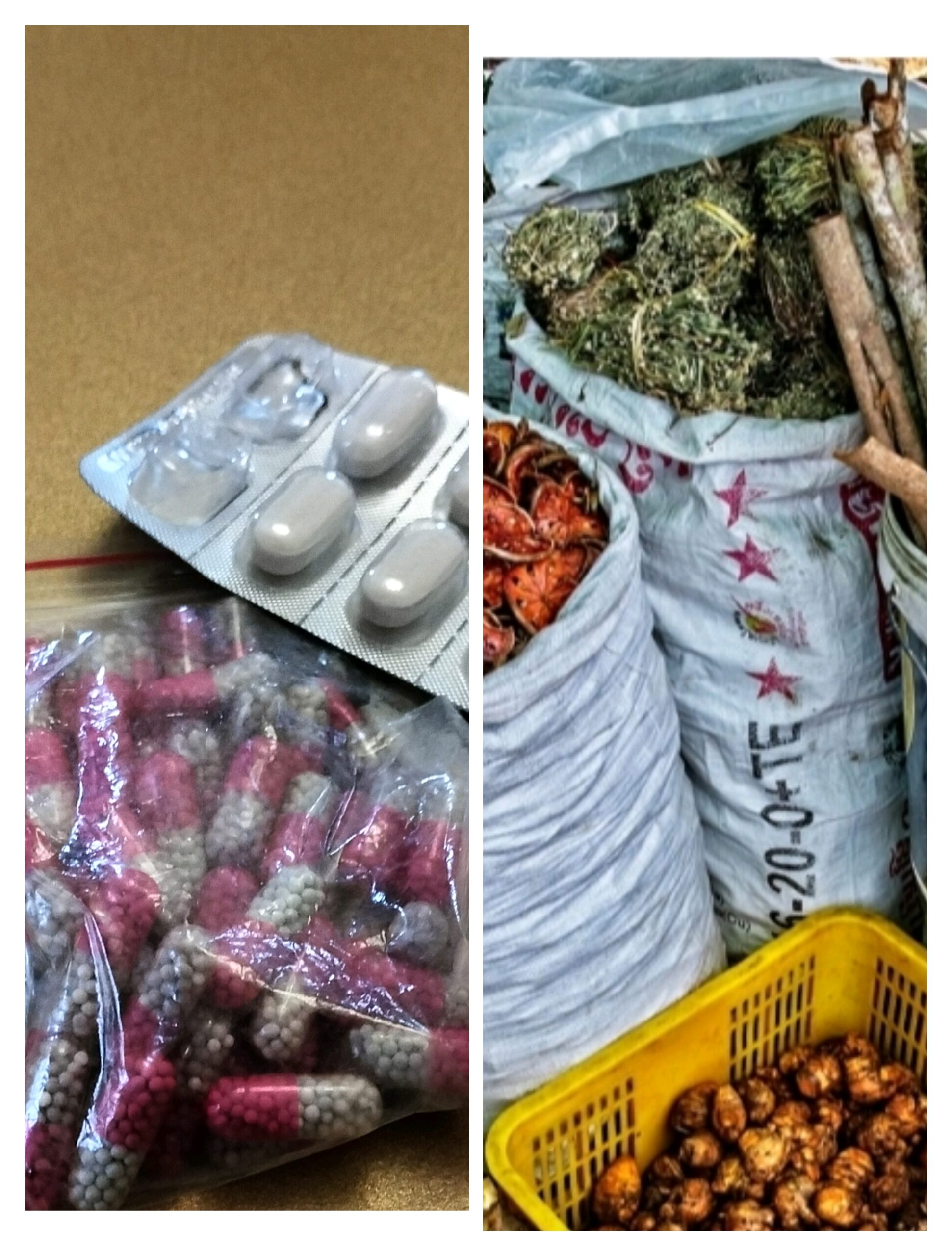 Traditional Medicine versus Conventional Medicine: The Merits and the Issues