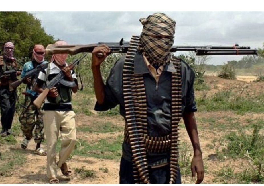 Suspected Boko Haram Terrorists Abduct 13 female farmers in Borno
