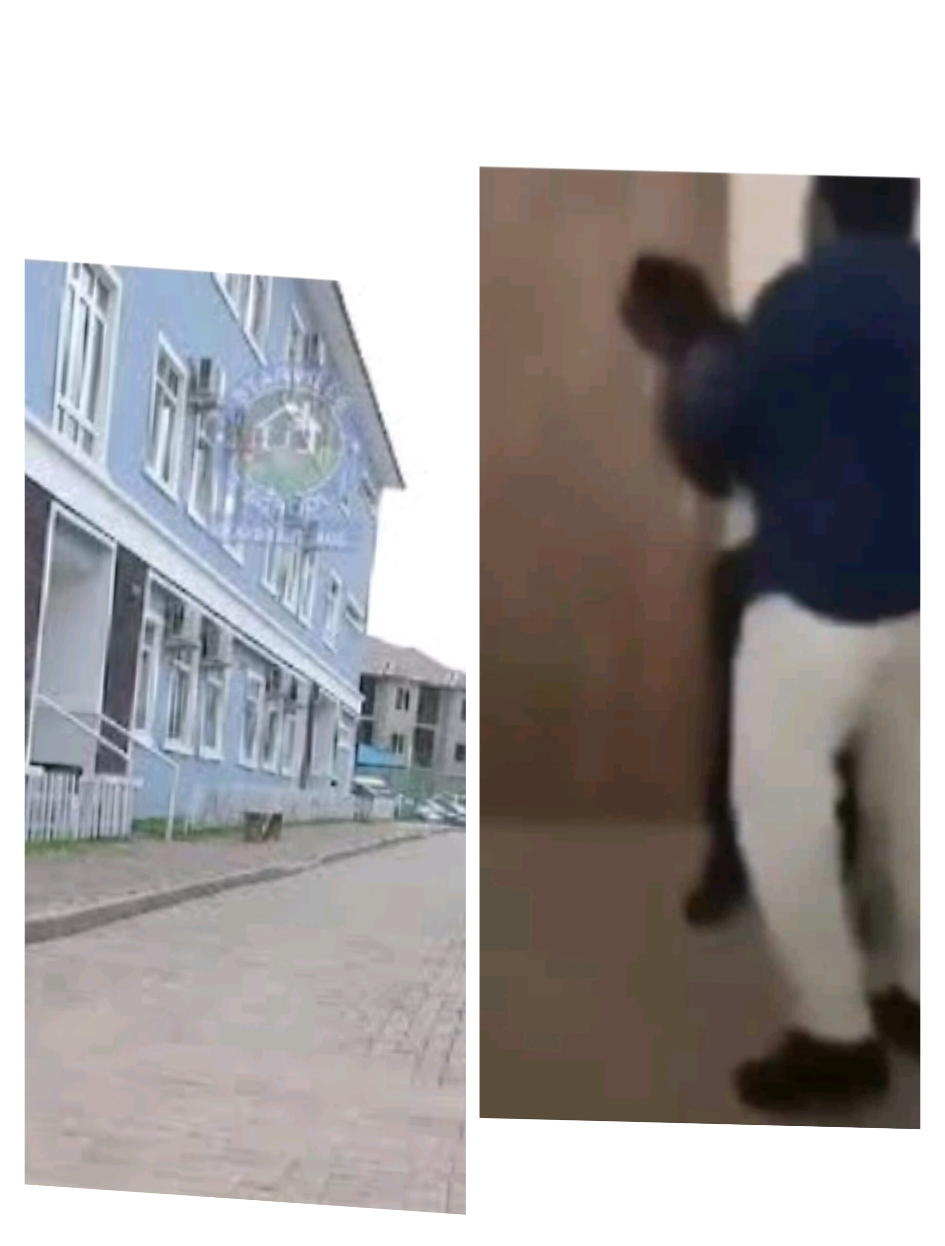 The Starville School Abuja Slapping Incident: The Role of Discipline in Home and School