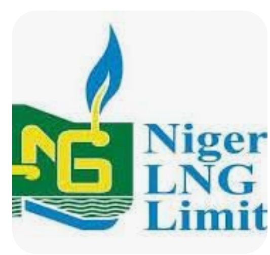 Adeleye Falade Named New NLNG MD As Mshelbila Takes Up  Role In Doha