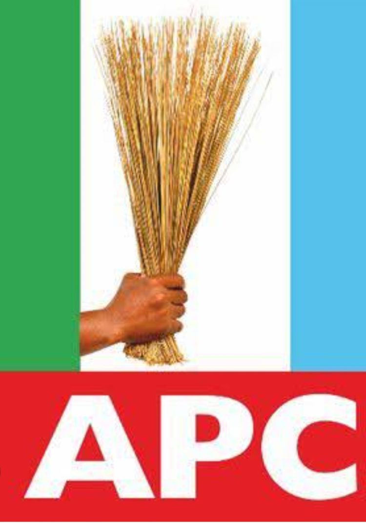 JUST IN: APC releases campaign list for FCT councils election