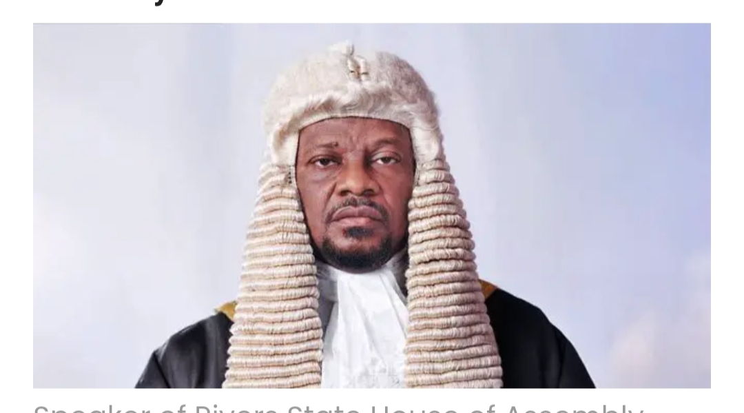 That Rivers Assembly Screening: Lessons in Power, Scrutiny and Public Dignity