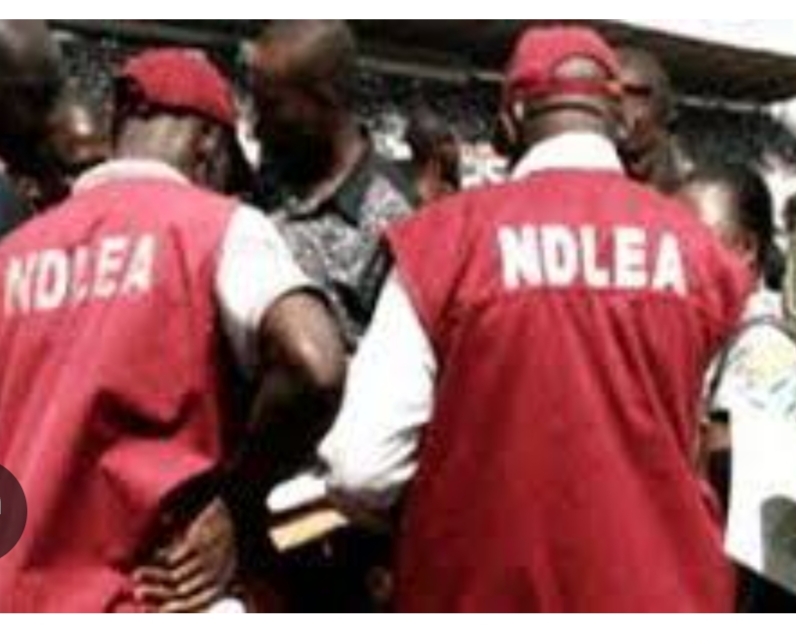 NDLEA Raids Illicit Drug Warehouses in Lagos