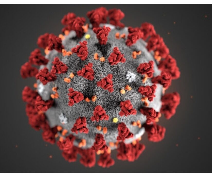 JUST IN:Chinese National Tests Positive for COVID – 19 In Cross River State, Health Ministry Begins Tracing, Profiling.