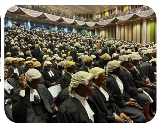 Drop Barrister Title  As Prefix To Your Name, Supreme Court Tells Lawyers.