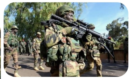 Nigerian Military Neutralised  Terrorists Top Commander, Scores of Gang Members  in Borno
